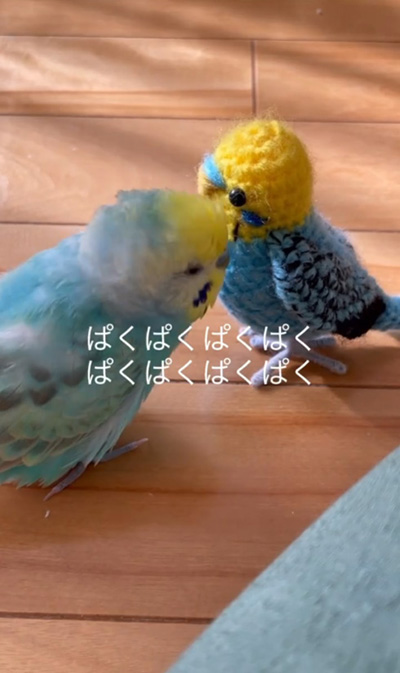 ぱくぱくぱくぱく1歩進んだ