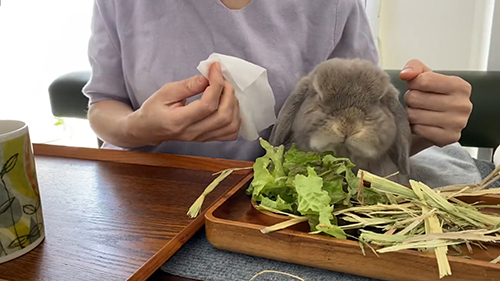 もぐもぐするせきとくん