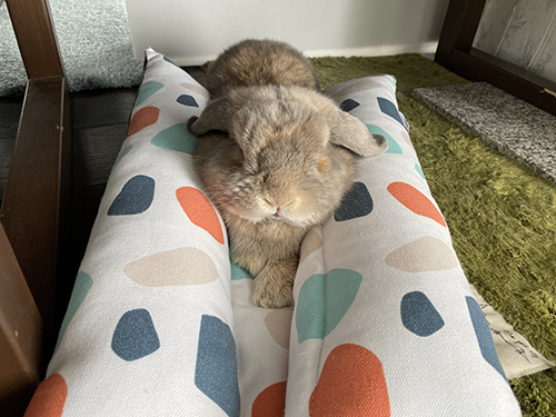 はさまるせきとくん