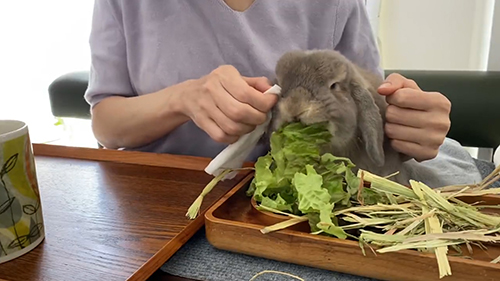 お顔をふいてもらうせきとくん