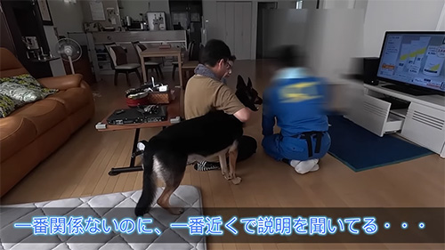 誰よりも近くで聞きたい犬
