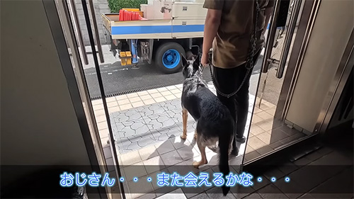 また会えるかなと思う犬