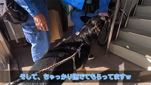 ちゃっかりなでてもらう維桜さん