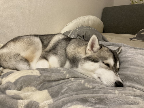 みぞれちゃんとまったり