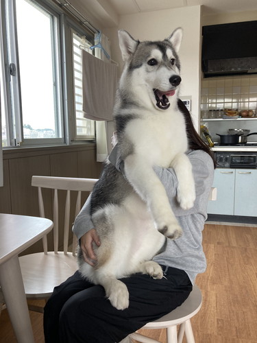 お顔ゆるゆるみぞれちゃん