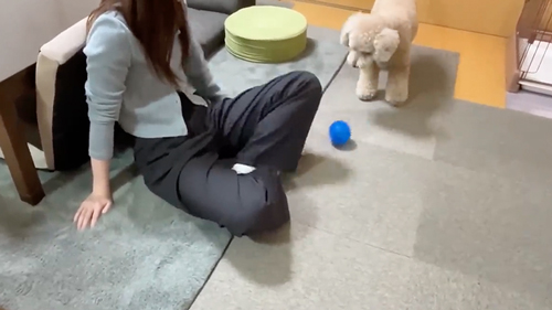 お姉ちゃんとの再会をよろこぶワンコ