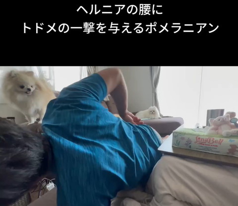 ヘルニアの腰にトドメの一撃テロップ