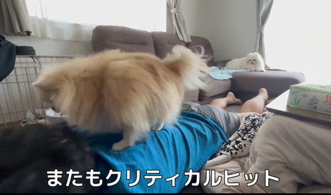 またもクリティカルヒットテロップ