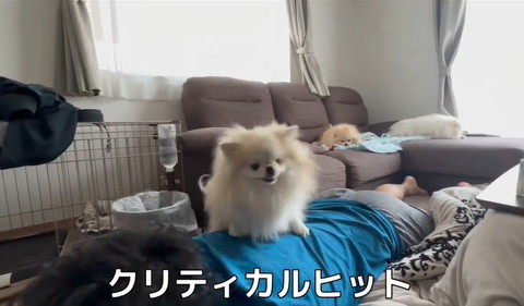 クリティカルヒットテロップ