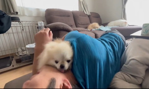 パパの首元にいくワンコ