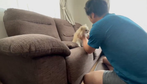 ワンコに話しかけるパパさんの背中