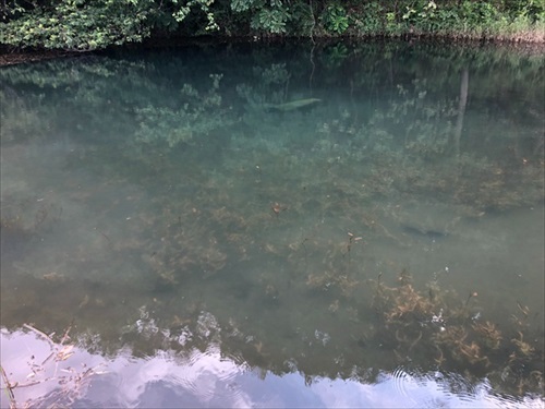 アメザリの暴威