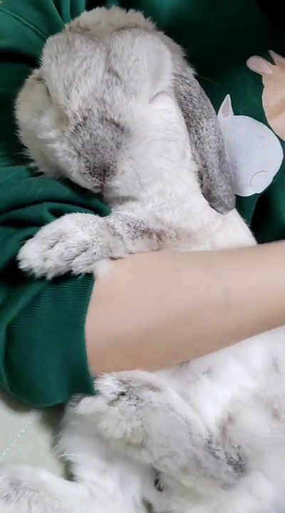 むみくん正面とぎゅっとする投稿主さん