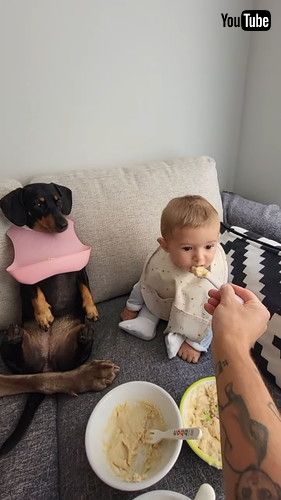 「Family Lunch || ViralHog」