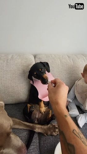 「Family Lunch || ViralHog」