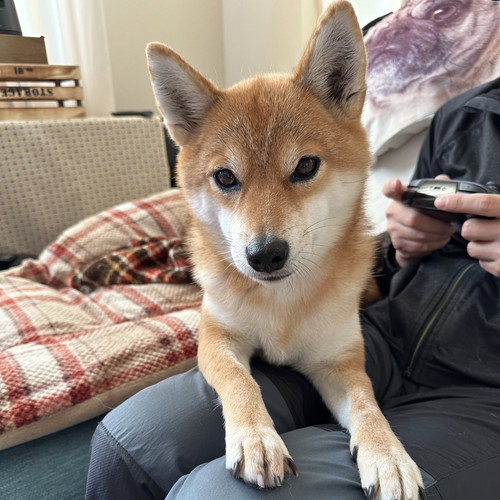 ラルくんとアキちゃん