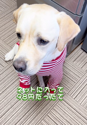 ネットに入って98円だったって