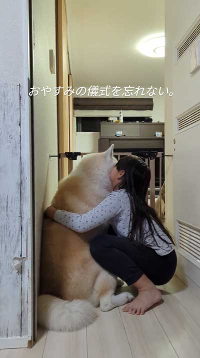 帰宅した娘に順番におかえりするデカワンコ