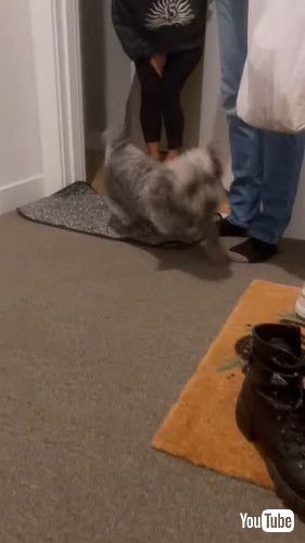 ぐるぐるまわる