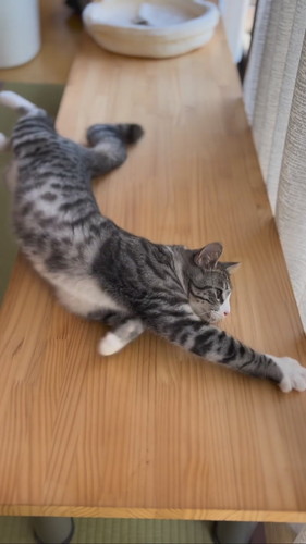 ずり落ちるいぶきくん総集編