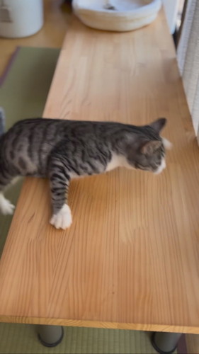 ずり落ちるいぶきくん総集編