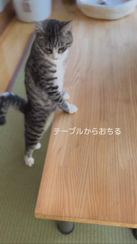 ずり落ちるいぶきくん総集編