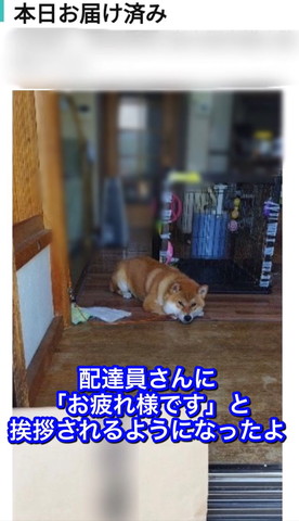 配達員さんにお疲れ様です