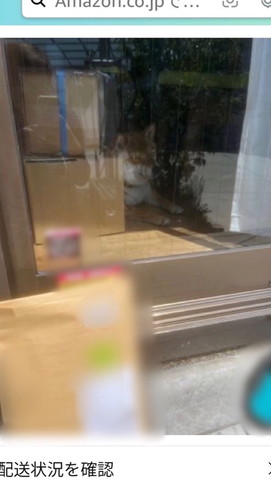 眠そうなワンコ