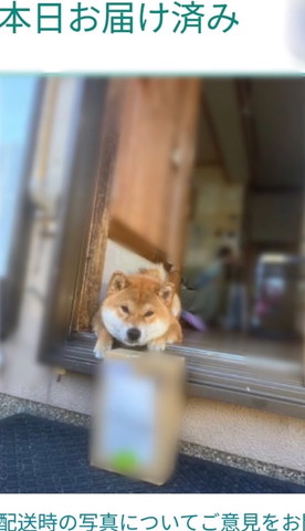 配送時の写真についてご意見
