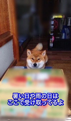 暑い日や雨の日はここで