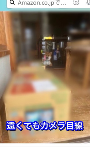 遠くてもカメラ目線