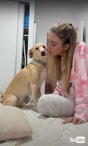 キスを避ける犬