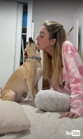 キスを避ける犬