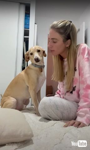 キスを避ける犬