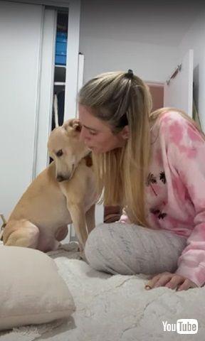 キスを避ける犬