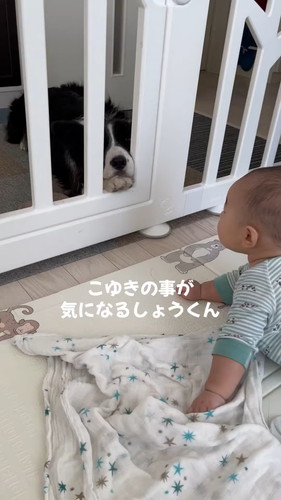 「愛犬に近づきたい赤ちゃんの行動が可愛いw」
