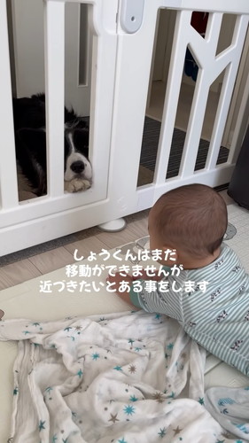 近づきたい赤ちゃん