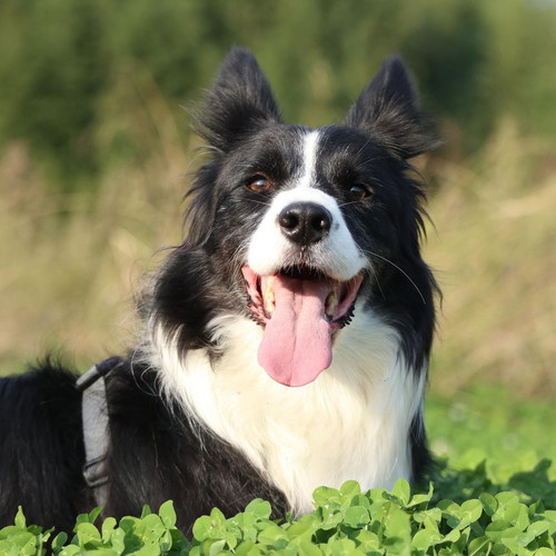 外でにこにここゆき