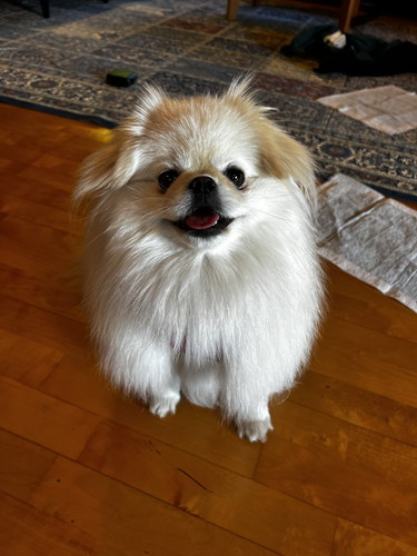 旅行先に到着したなんこつちゃん