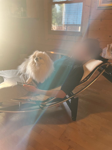 なんこつちゃん