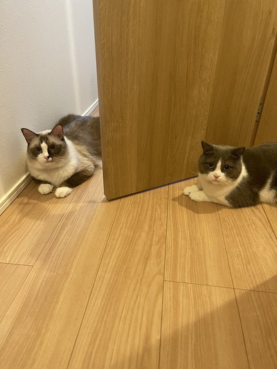 閉められないドア