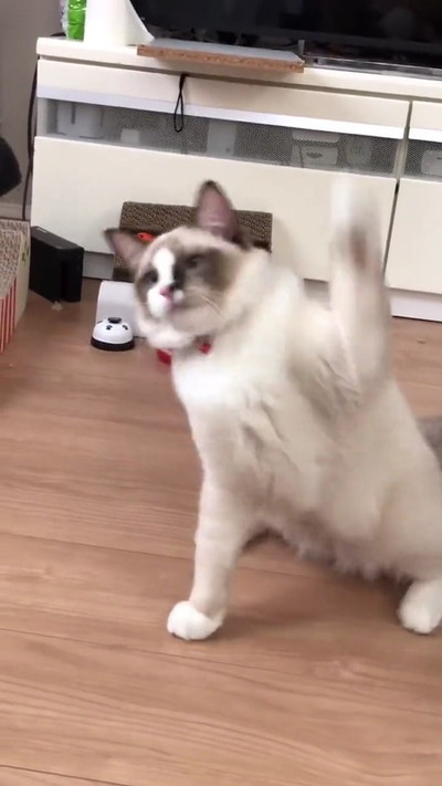 かっこいいです