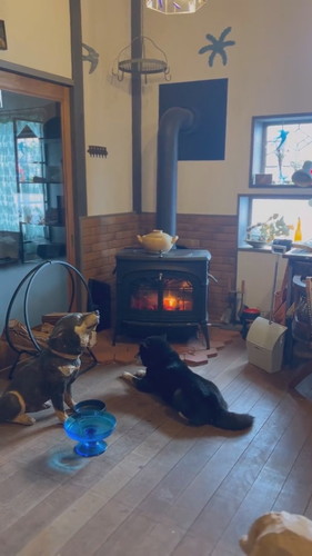 ストーブ前から離れない月くん