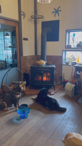 ストーブ前から離れない月くん