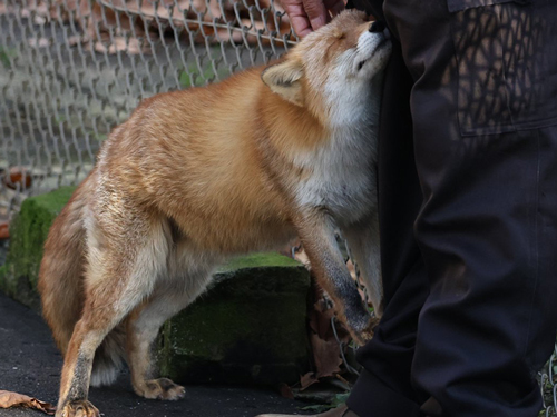 スタッフさん大好き