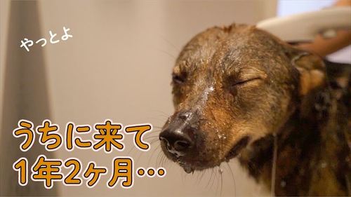 おすすめ
