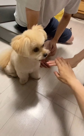 手を重ねるふたり