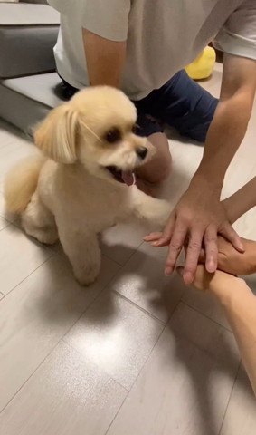 手を重ねるパパさん