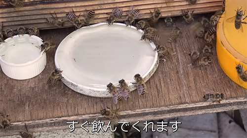 すぐ飲んでくれます