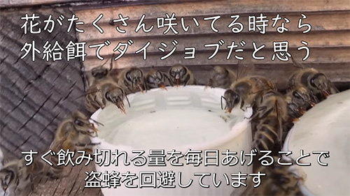 すぐ飲みきれる量